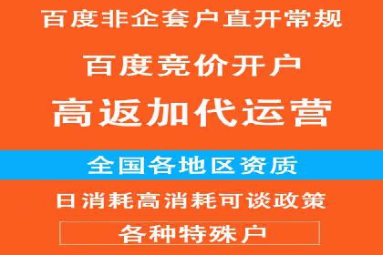 成功案例解析：百度推广代理商助力企业增长